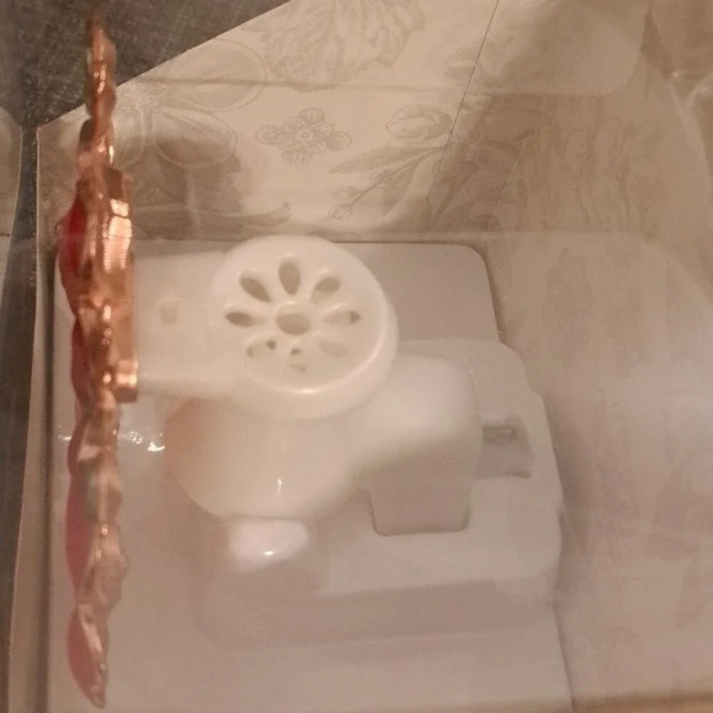 Pioneer Woman Bouquet Fragrance Oil Diffuser NWT